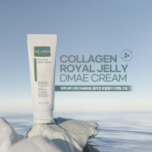 ��ǰ�����